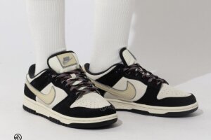 Nike SB Dunk Low SE
