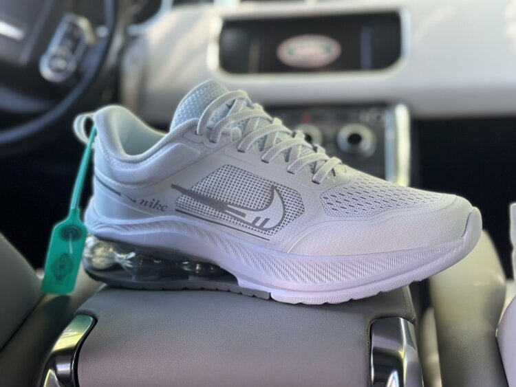 Nike Air Max Pulse