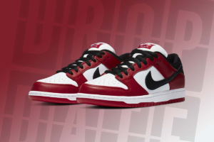 Nike Dunk Low