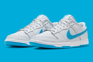 Nike Dunk Low