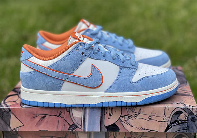 Nike Jordan SB Dunk Low